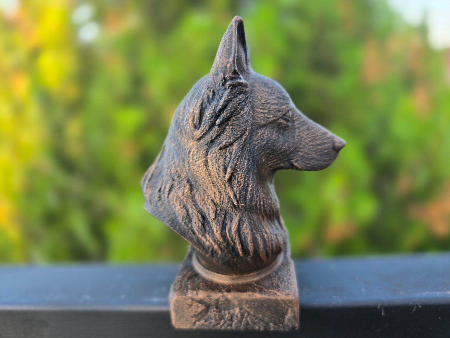 Long Haired German Shepherd Bust