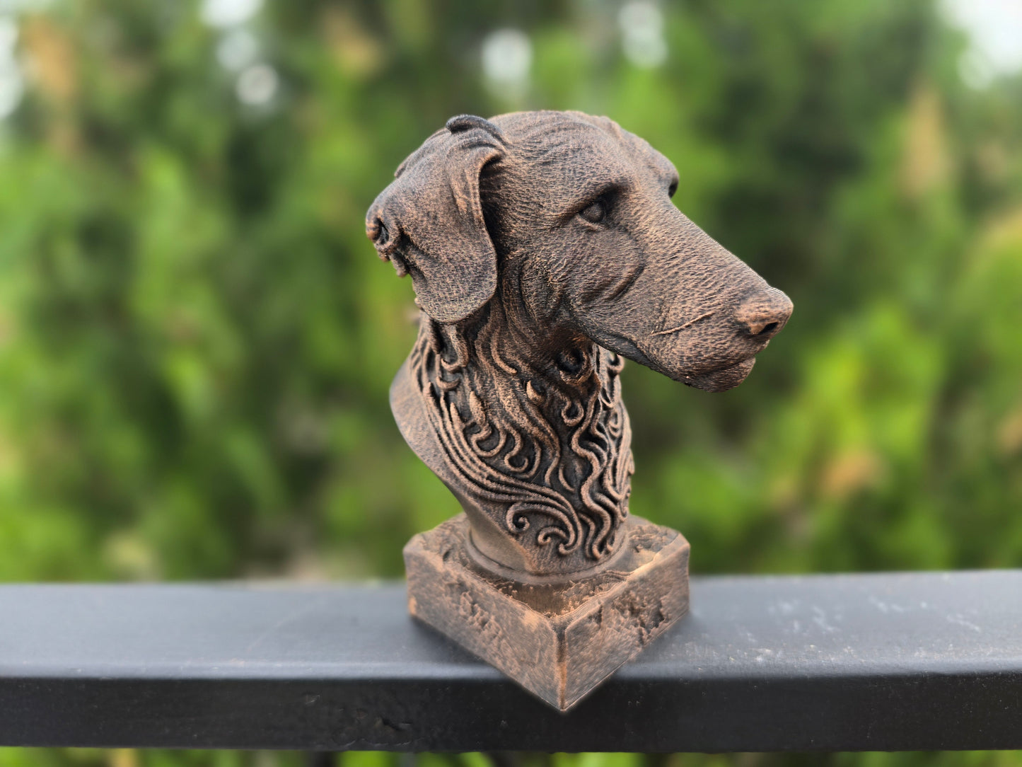 Lurcher Bust
