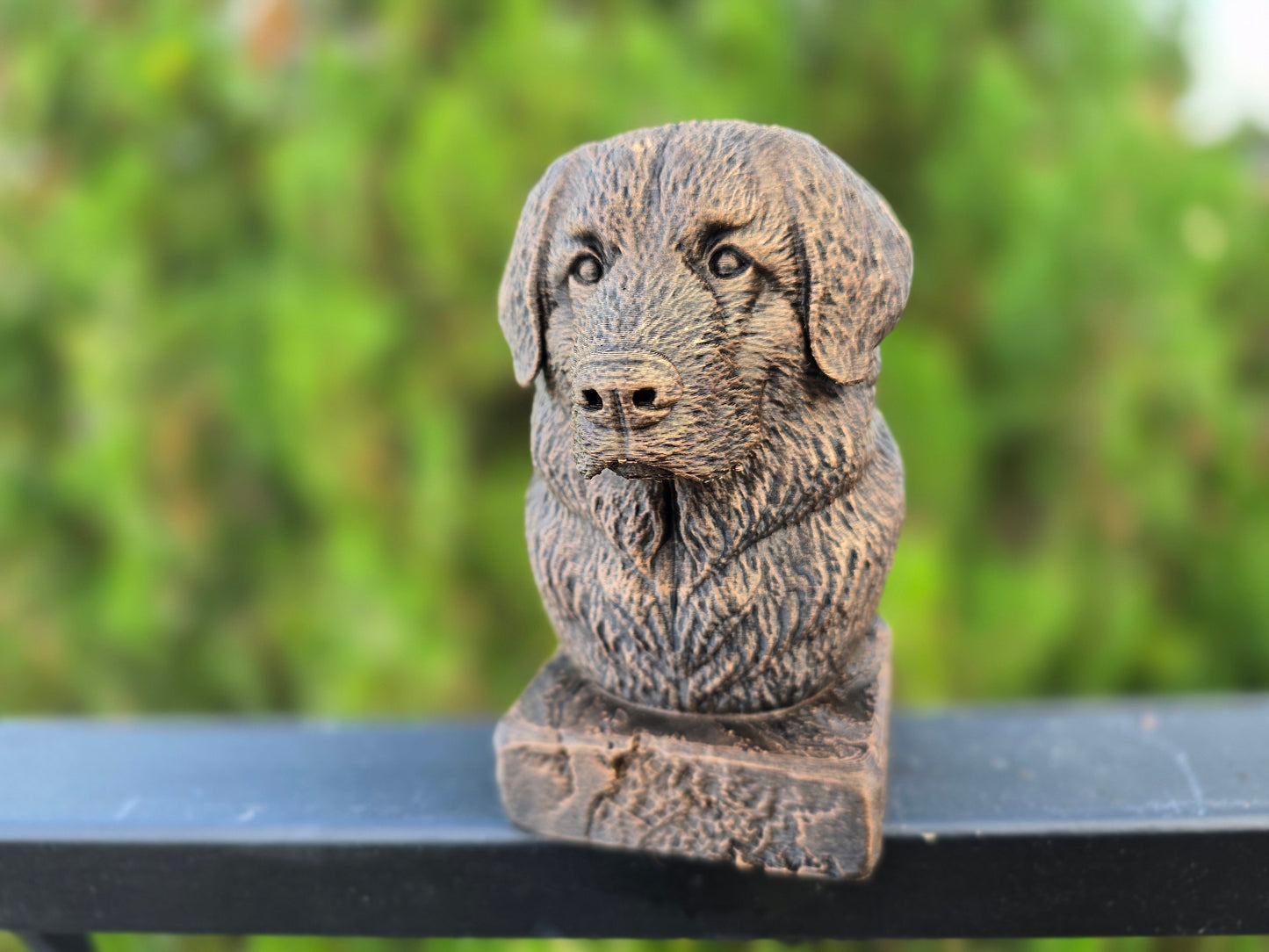 Leonberger Bust