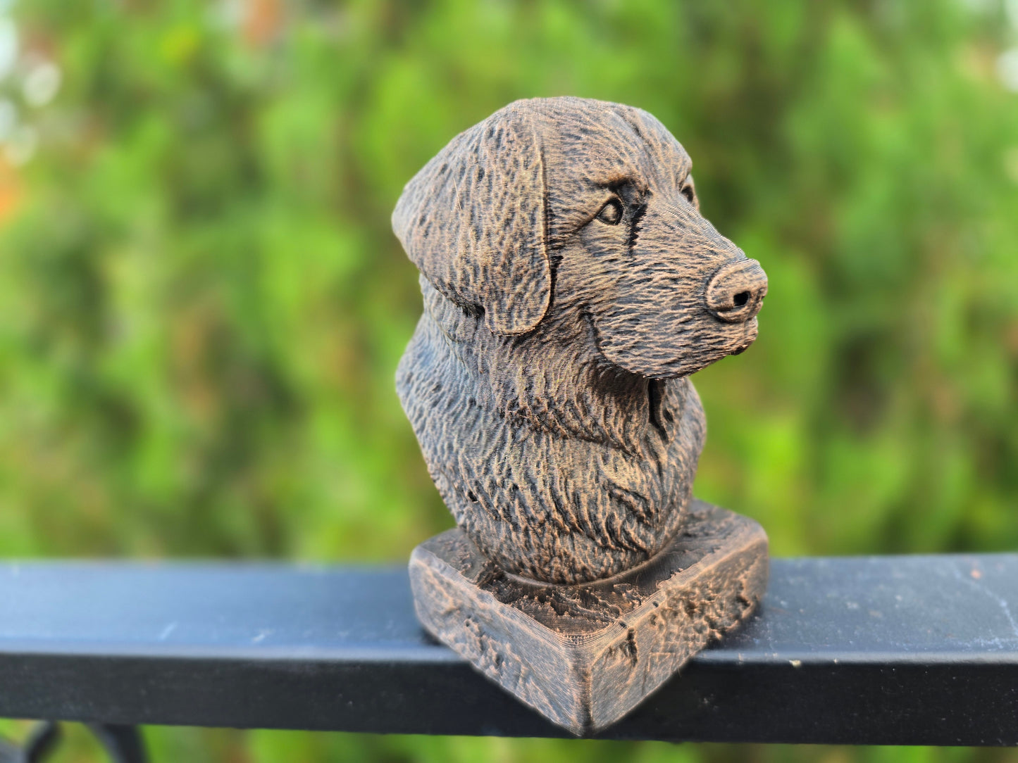 Leonberger Bust
