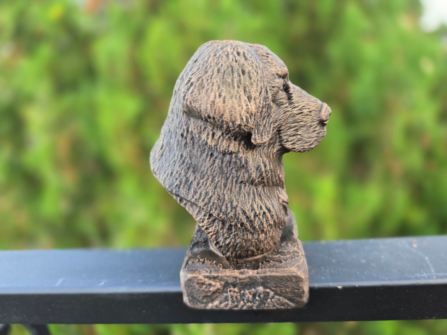 Leonberger Bust