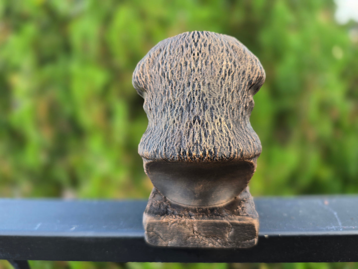 Leonberger Bust