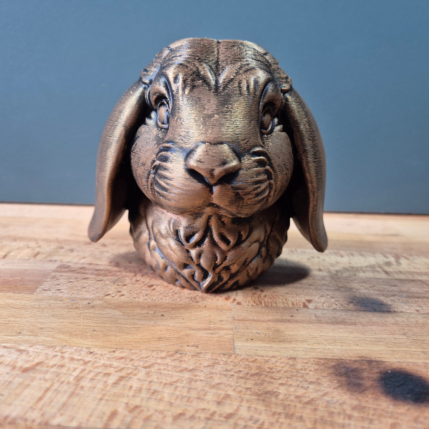 Lop Rabbit Bust