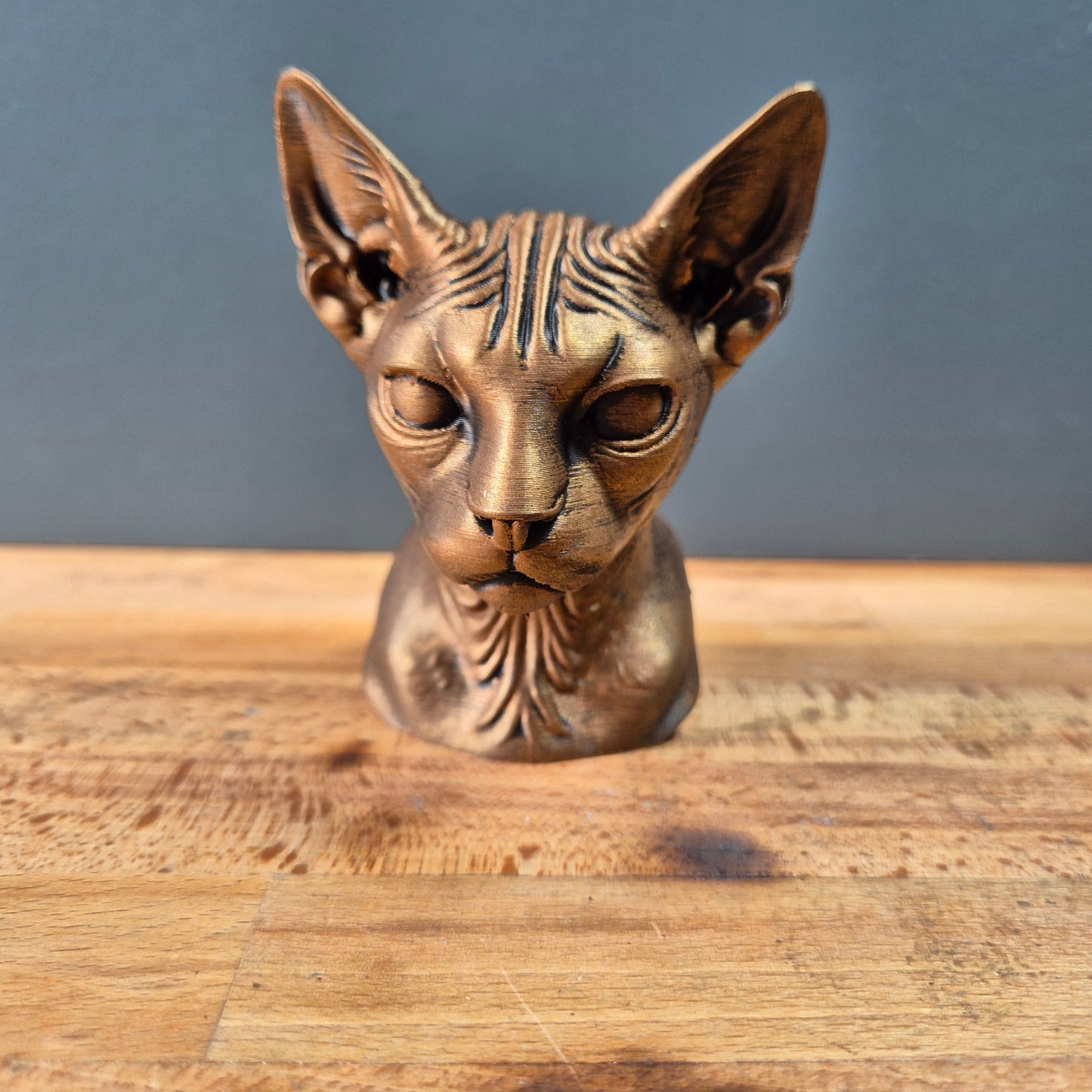 Lykoi Cat Bust