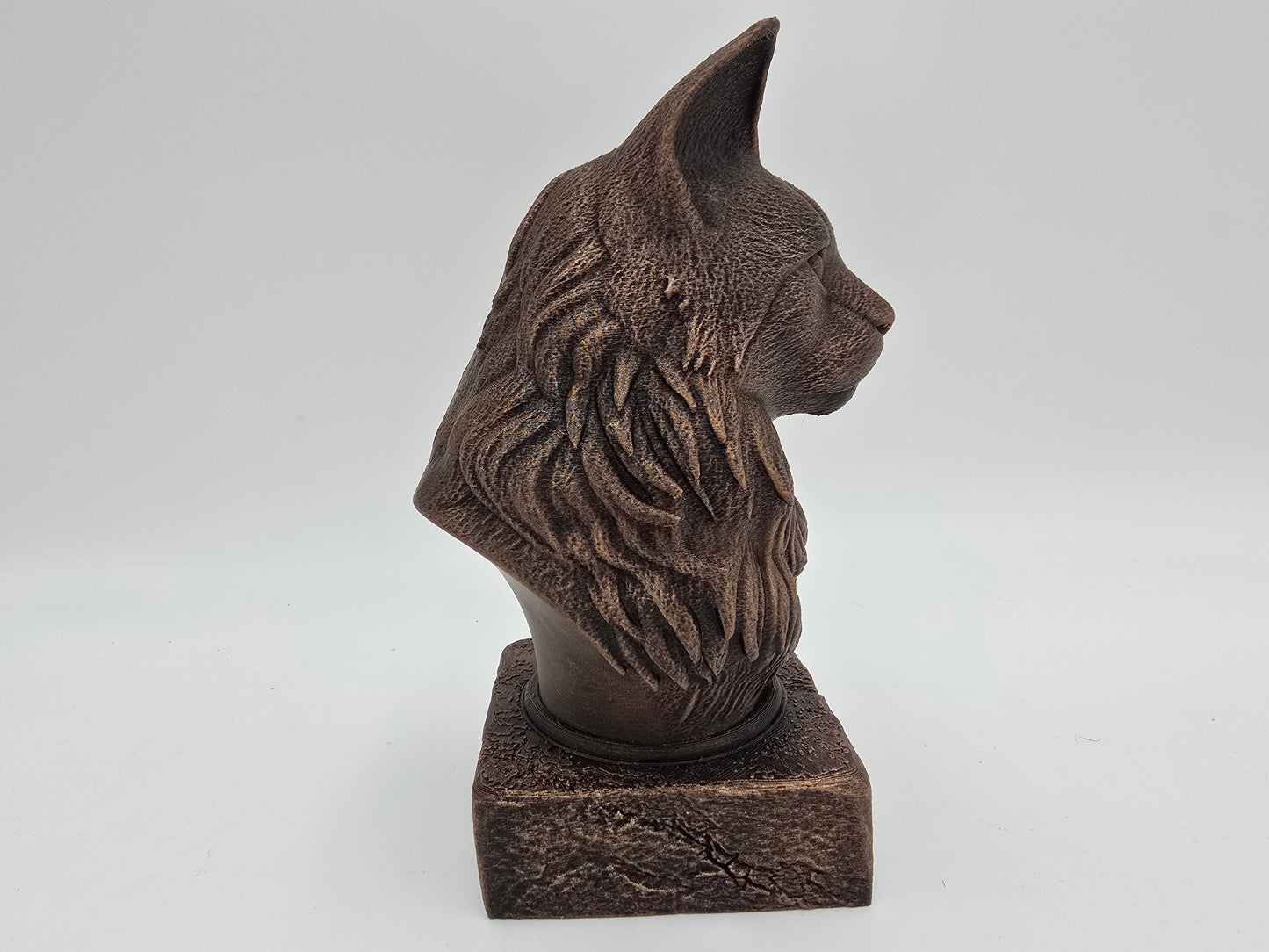 Maine Coon Cat Bust