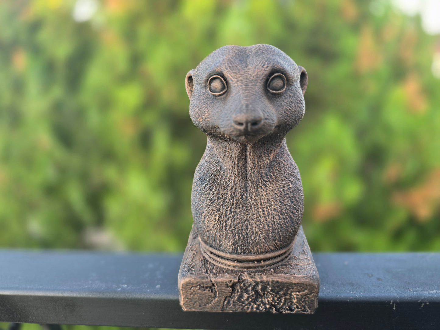 Meerkat Bust