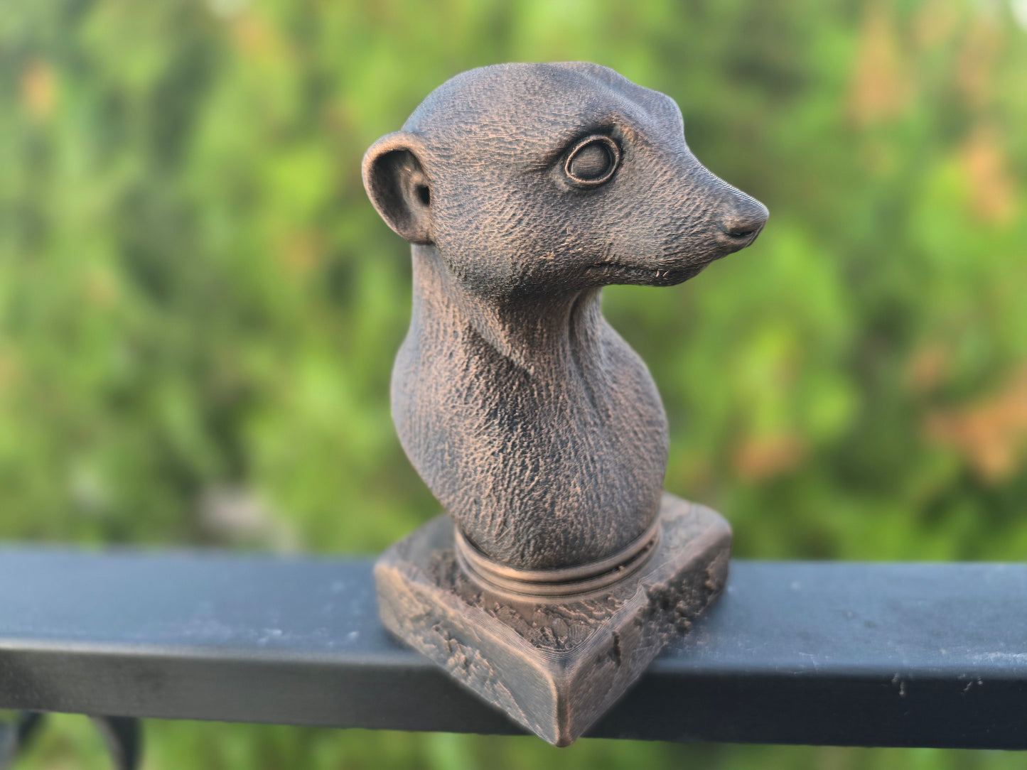 Meerkat Bust