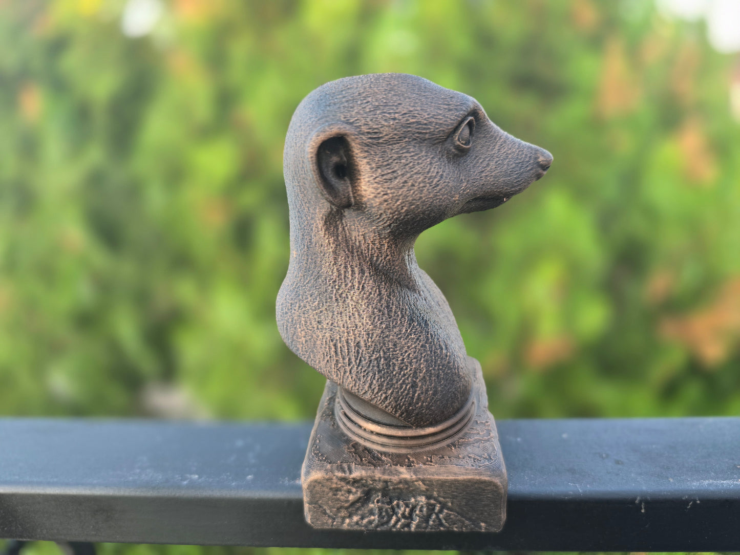 Meerkat Bust
