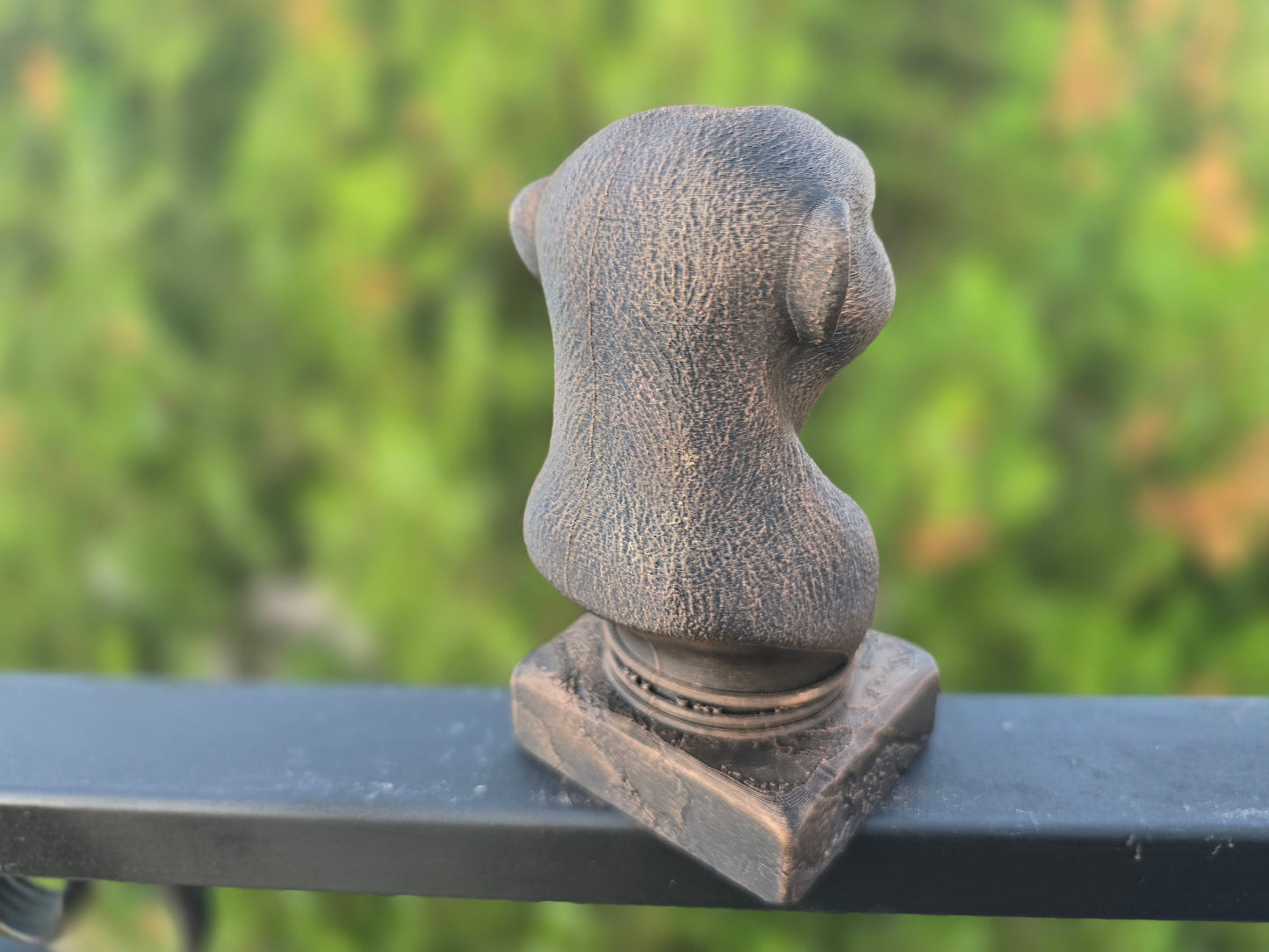 Meerkat Bust
