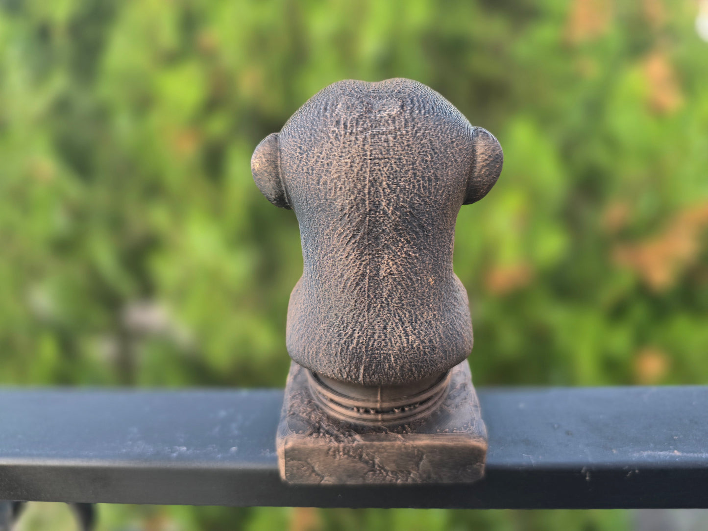 Meerkat Bust