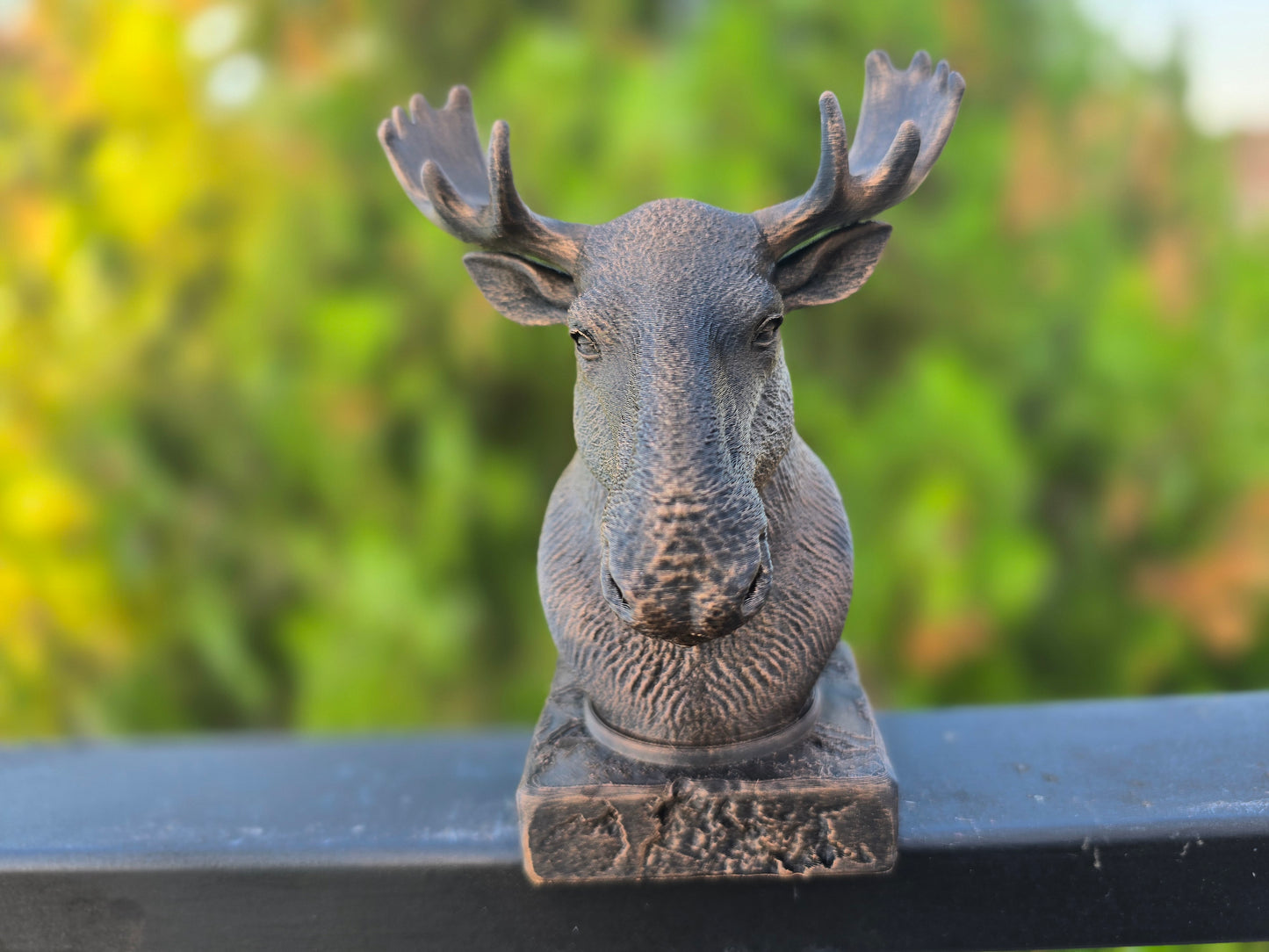 Moose Bust