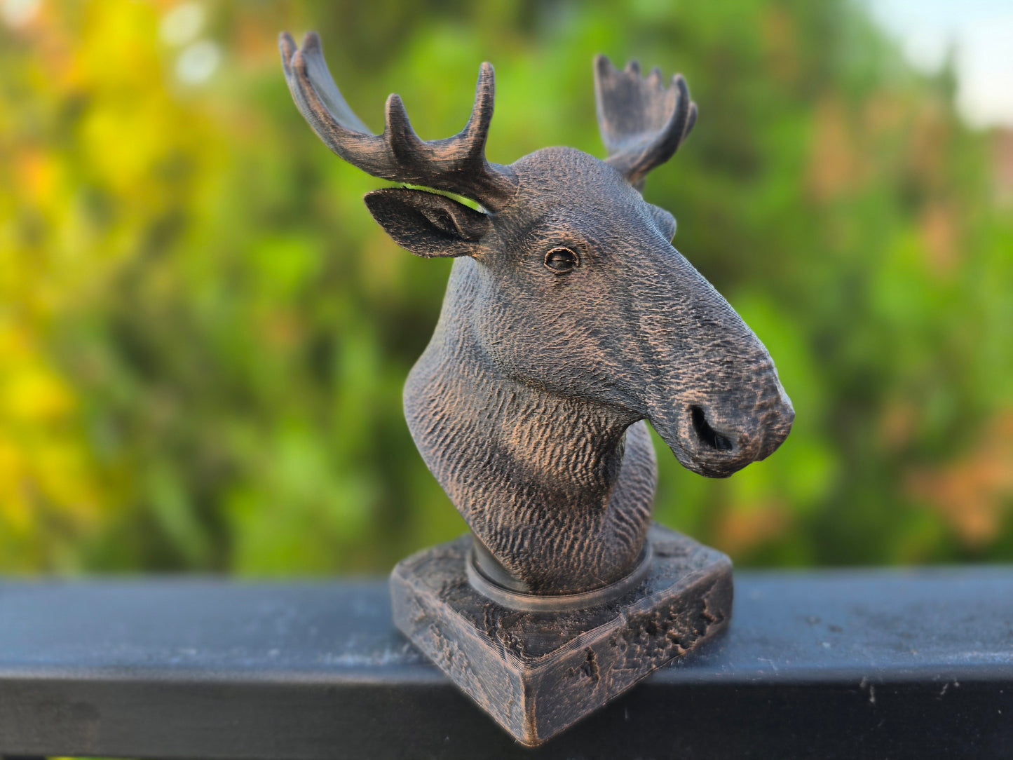 Moose Bust