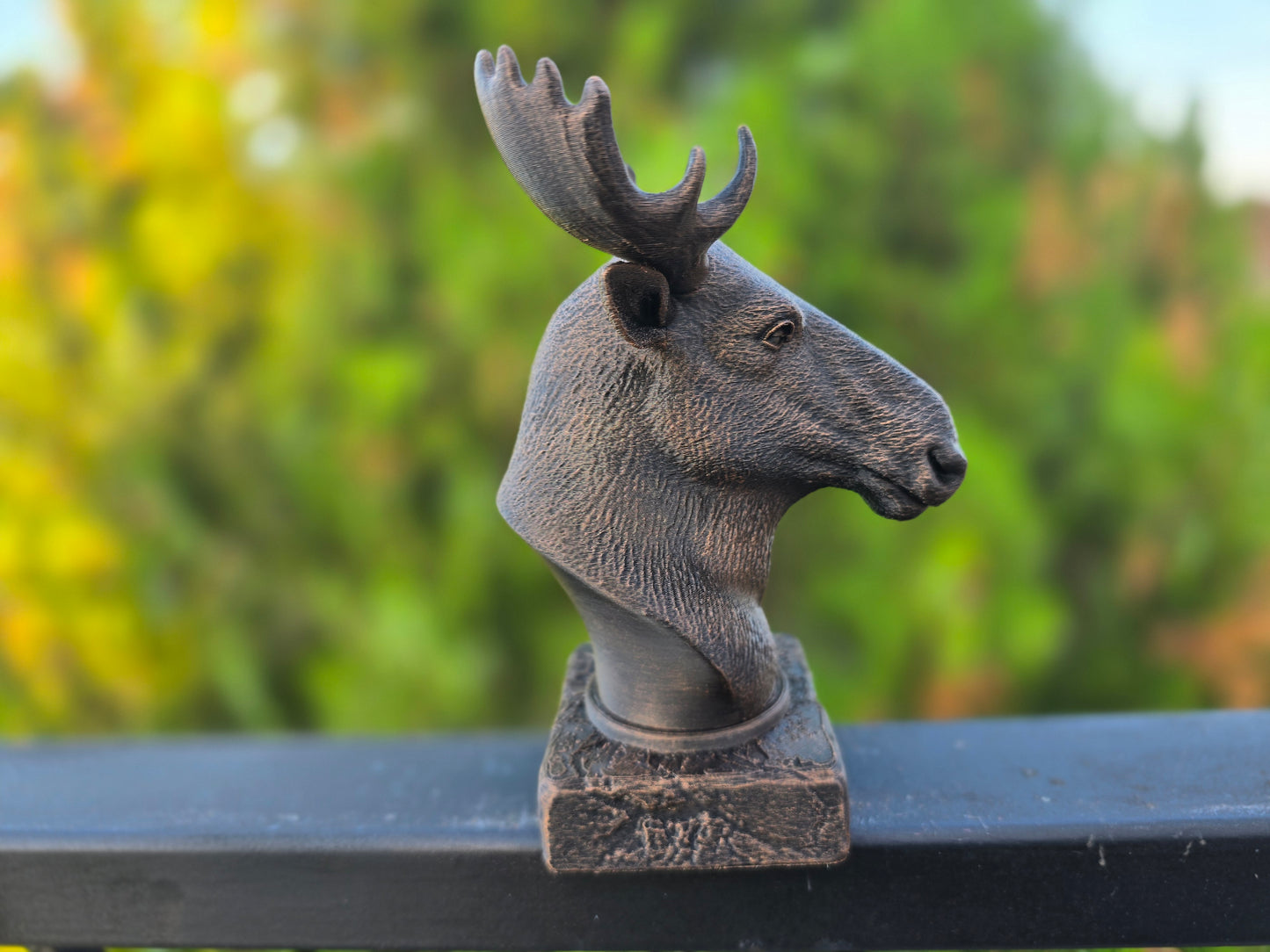 Moose Bust