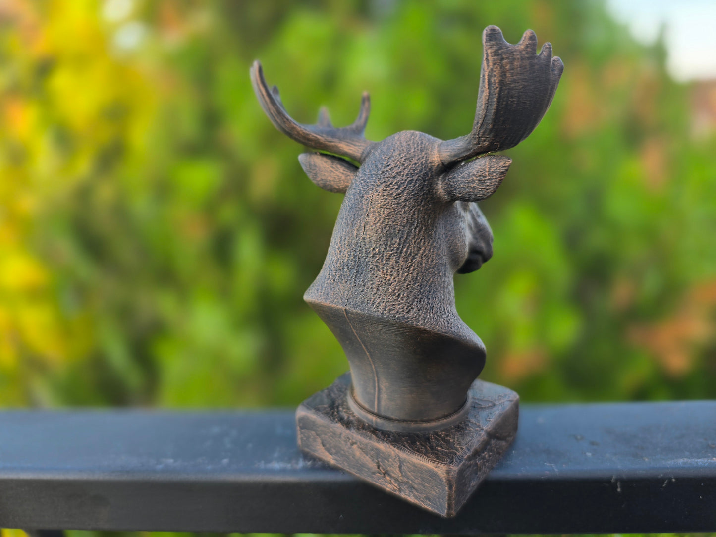 Moose Bust