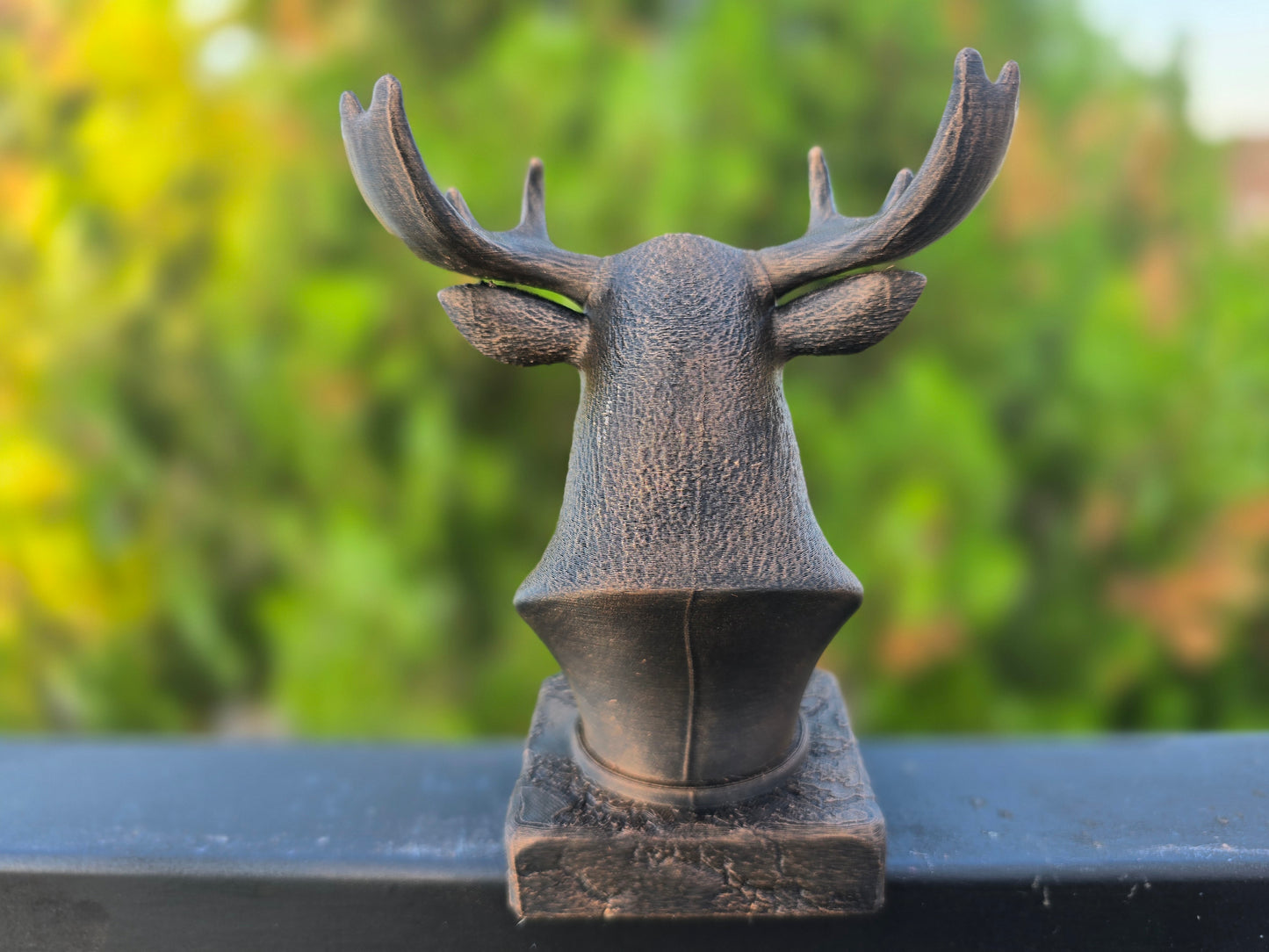 Moose Bust