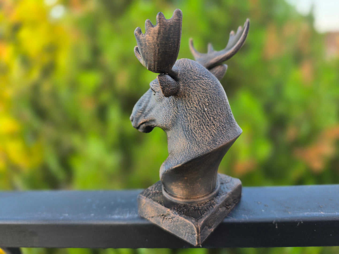 Moose Bust