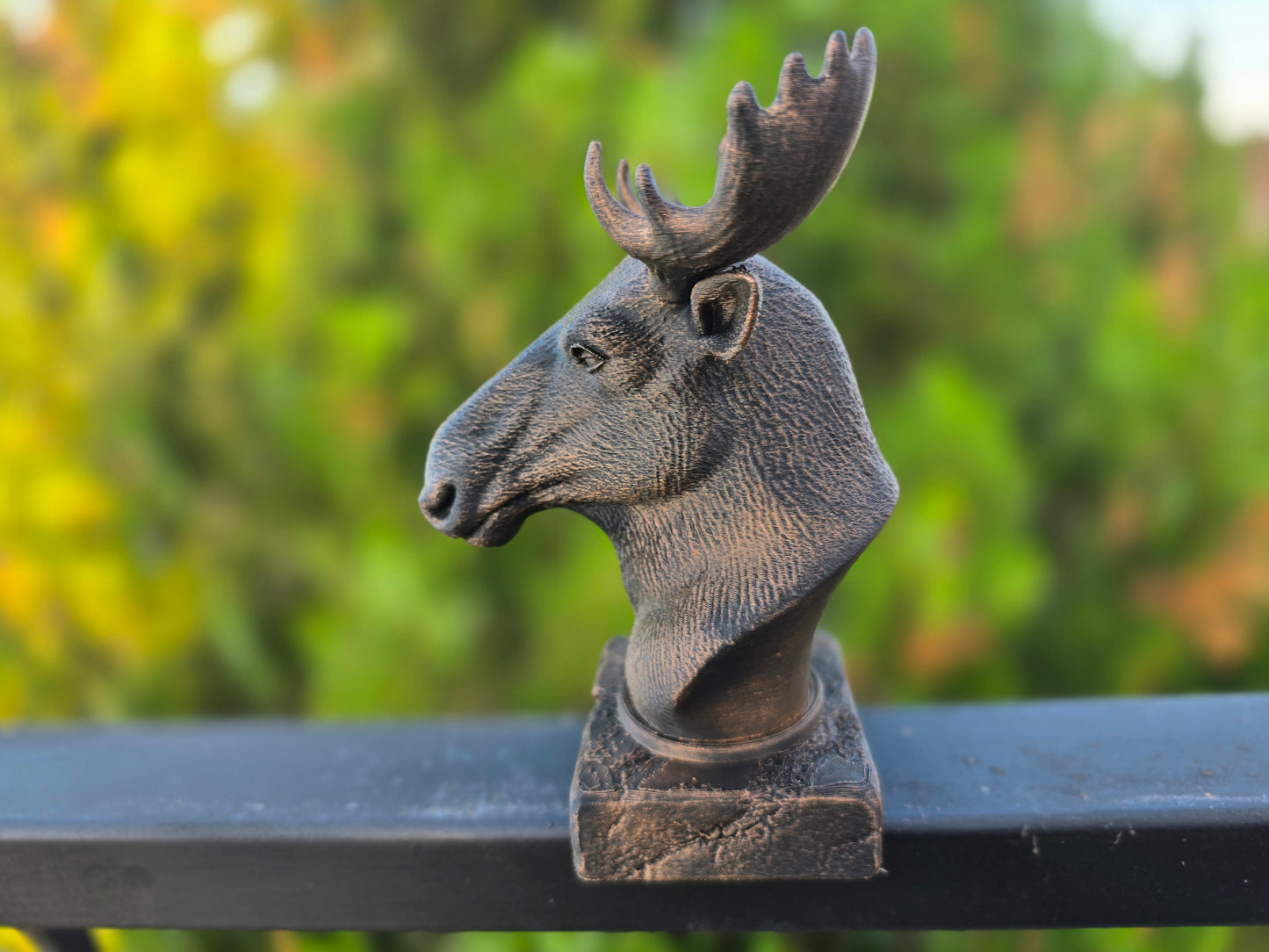 Moose Bust