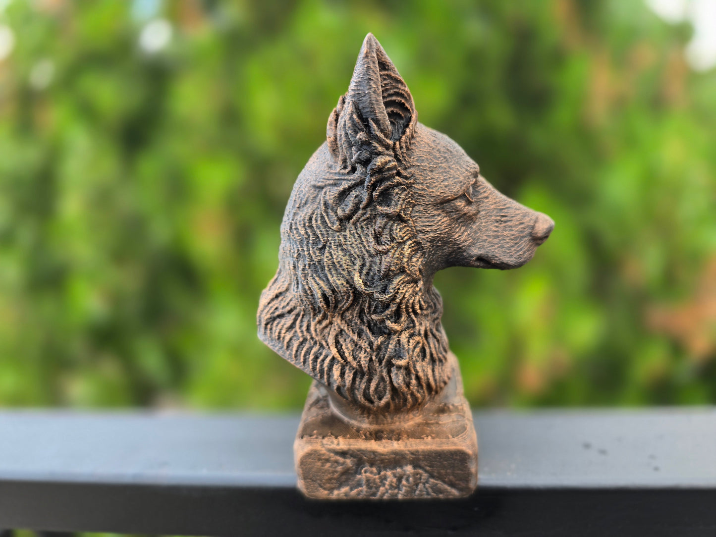 Mudi Bust