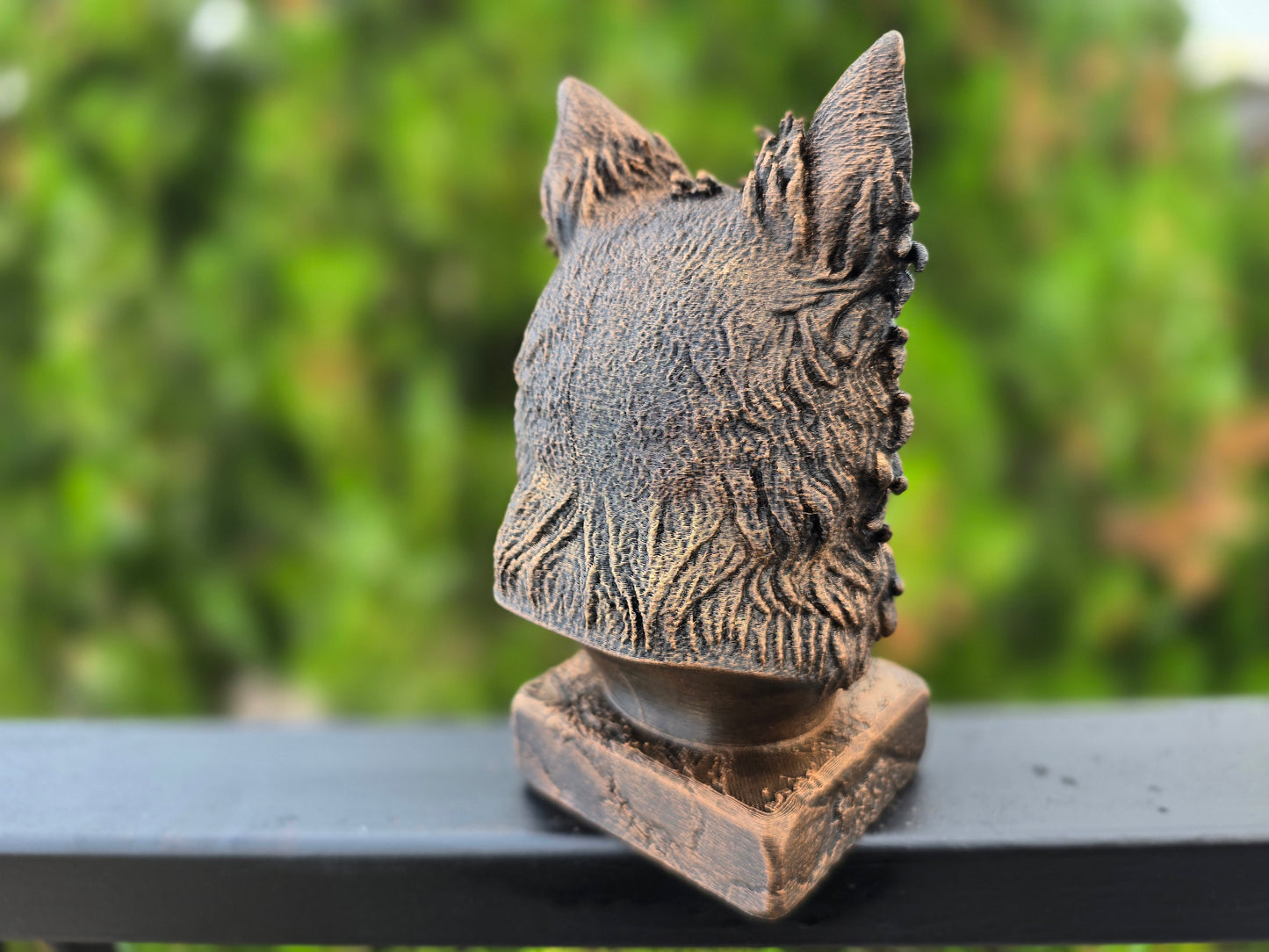 Mudi Bust