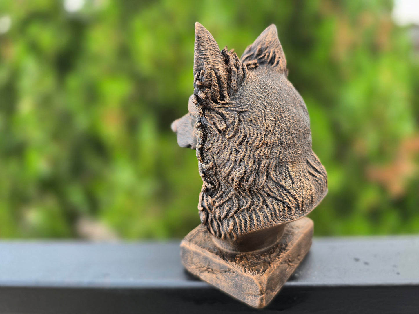 Mudi Bust