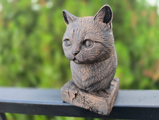 Munchkin Cat Bust