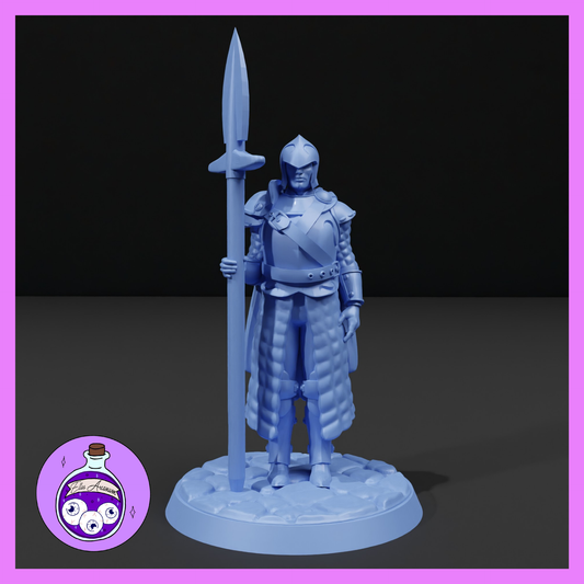 Dungeons & Dragons Male Guard Miniature
