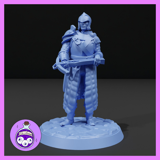 Dungeons & Dragons Male Guard Miniature