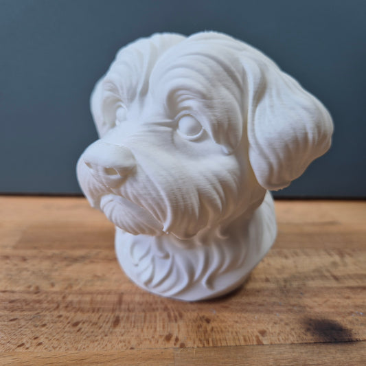 Maltese Bust
