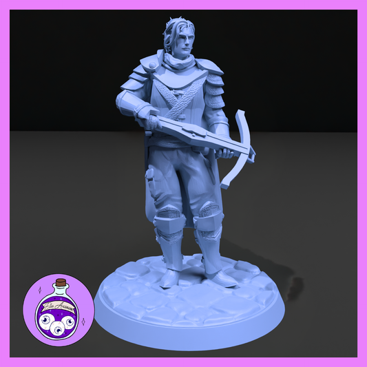 Dungeons & Dragons Mercenary Human Male Miniature