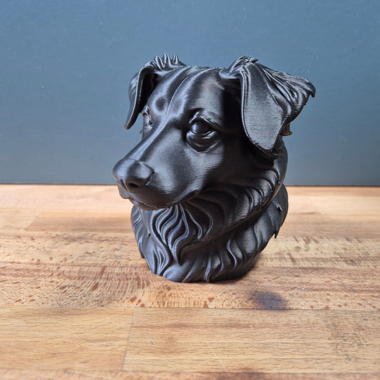 Miniature American Shepherd Bust