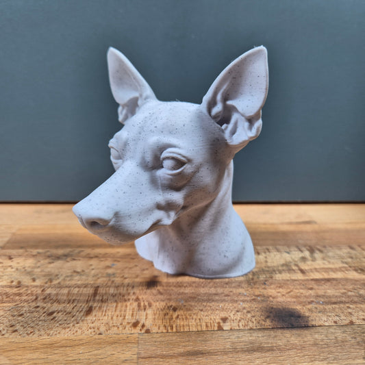 Miniature Pinscher Bust
