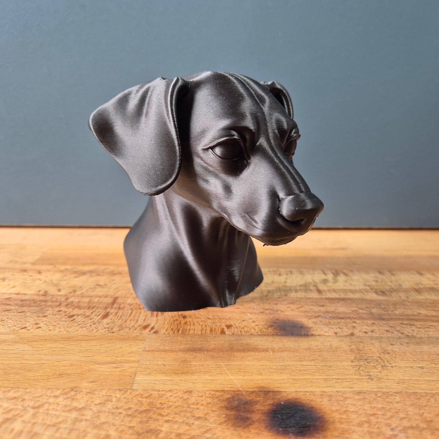 Miniature Pinscher Bust