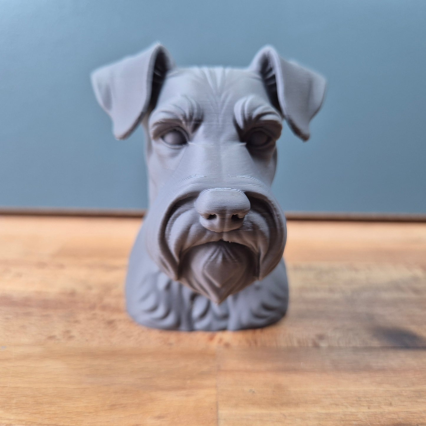 Miniature Schnauzer Bust