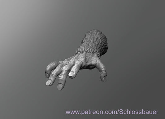 Dungeons & Dragons Monkey Paw Miniature