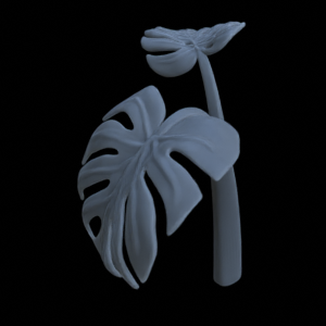 Monstera Plant 4