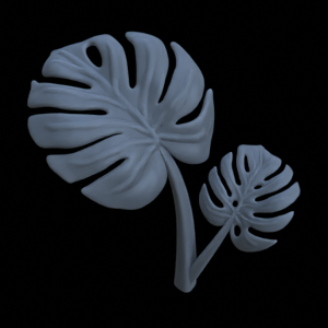 Monstera Plant 6