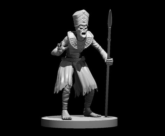 Dungeons & Dragons Mummy Lord Miniature