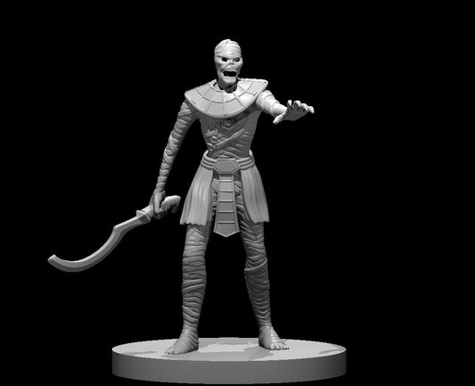 Dungeons & Dragons Mummy Miniature