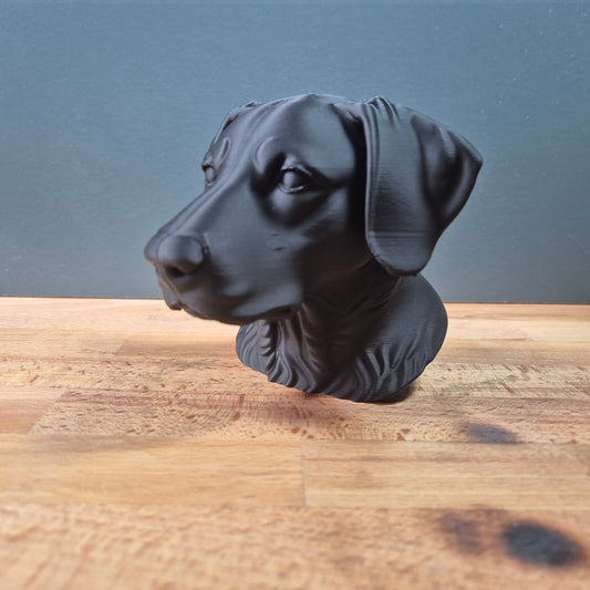 New Zeland Huntaway Dog Bust