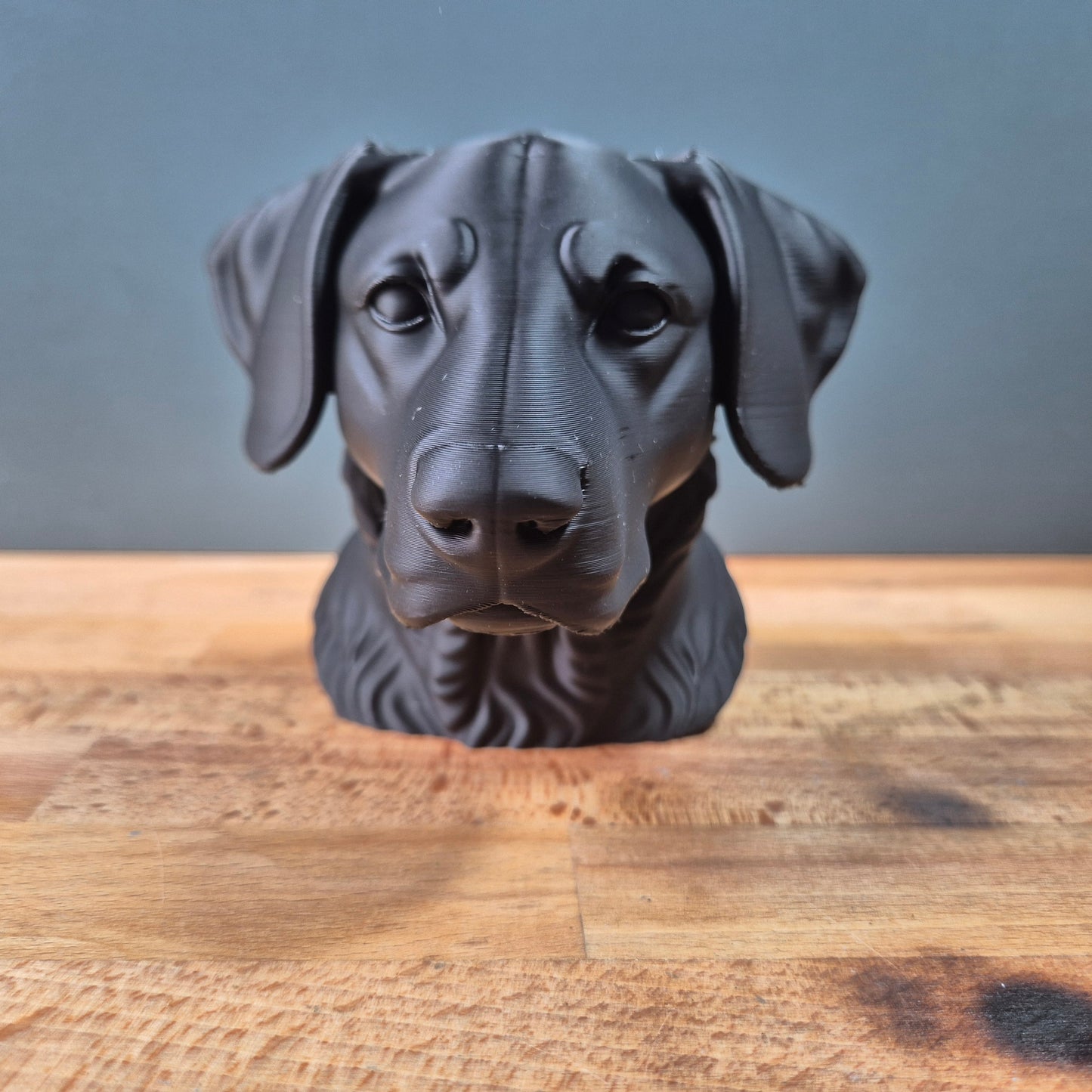 New Zeland Huntaway Dog Bust