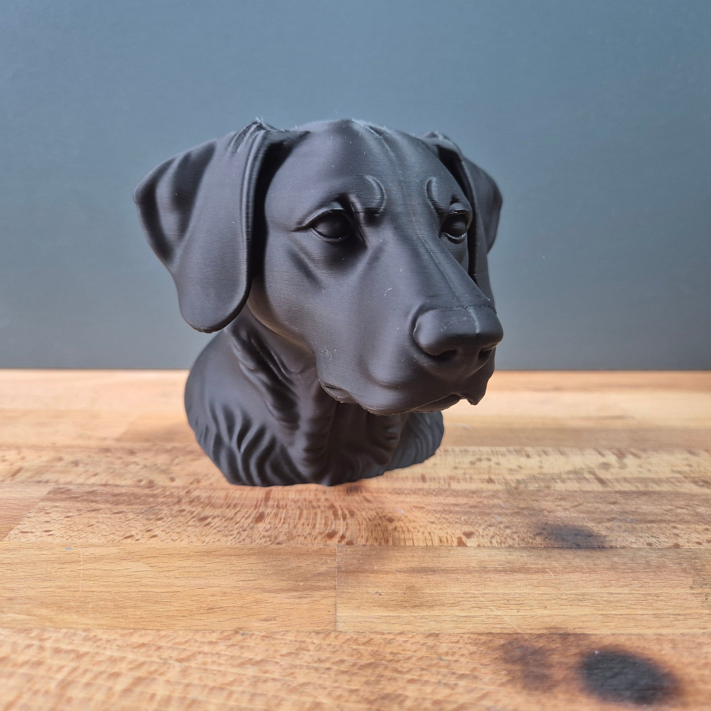 New Zeland Huntaway Dog Bust