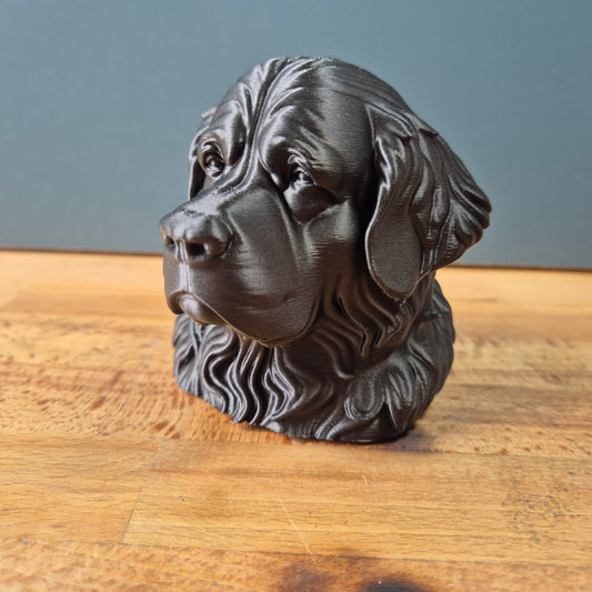 Newfoundland Dog Bust