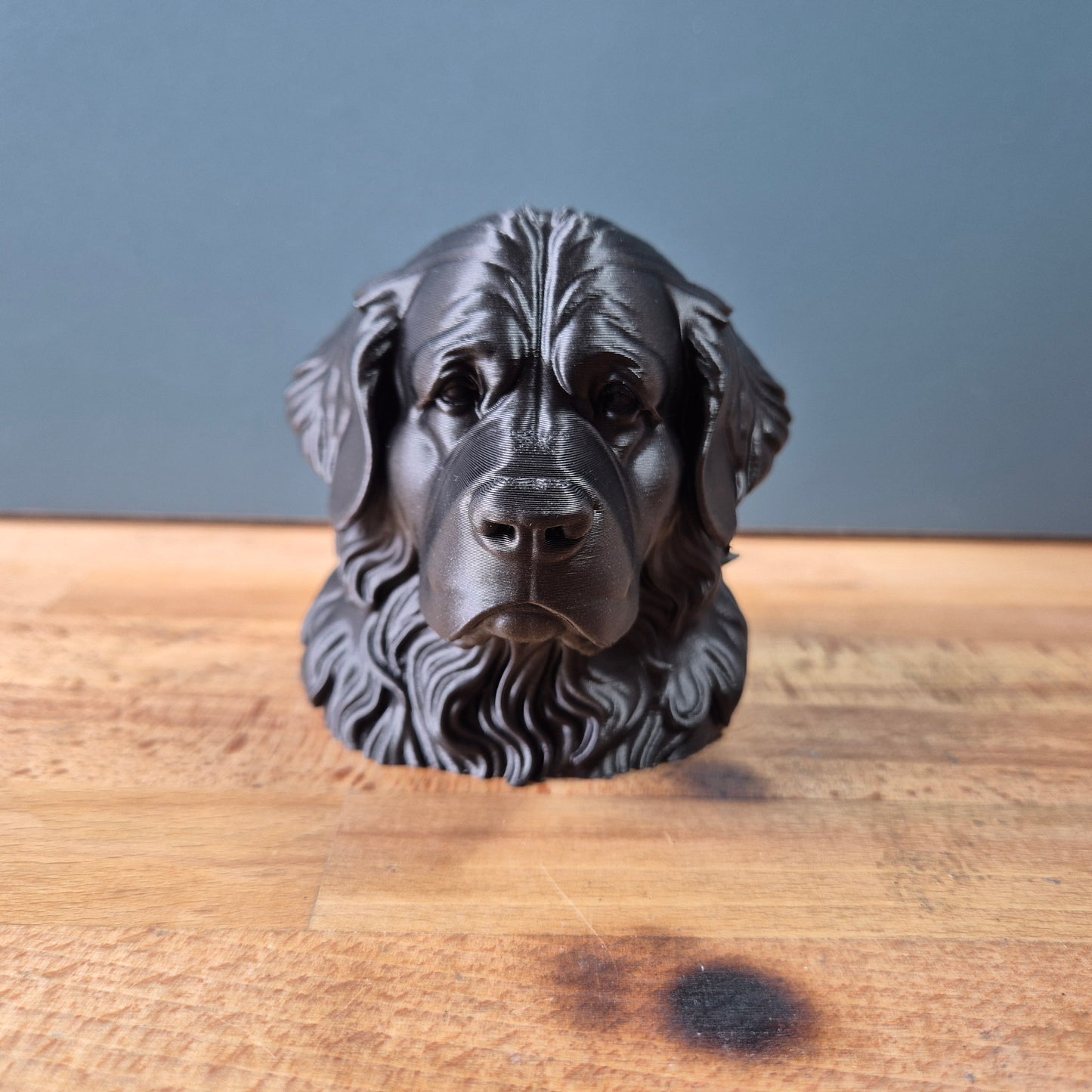 Newfoundland Dog Bust