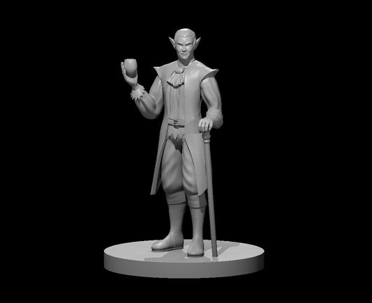 Dungeons & Dragons Noble Elf Male Miniature