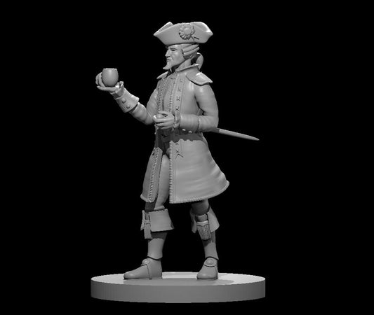 Dungeons & Dragons Noble Male Fancy Miniature