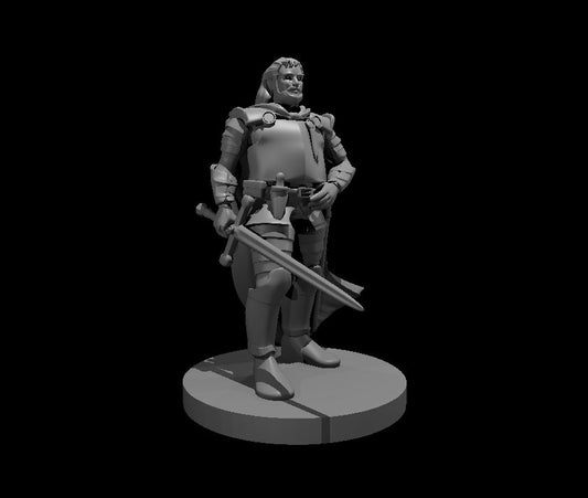 Dungeons & Dragons Noble Miniature