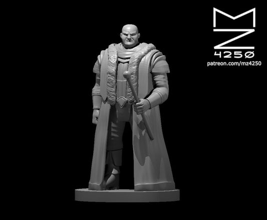 Dungeons & Dragons Noble Miniature