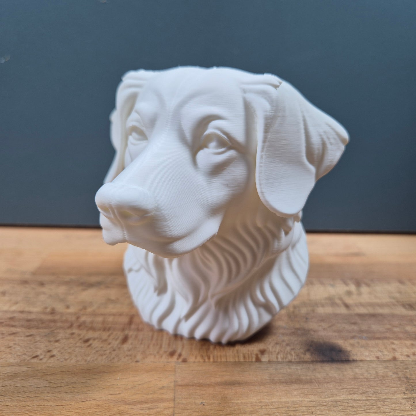 Nova Scotia Duck Tolling Retriever Bust