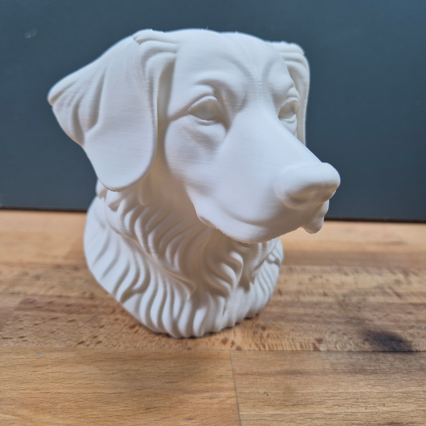 Nova Scotia Duck Tolling Retriever Bust