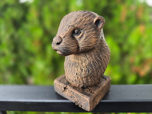 Otter Bust